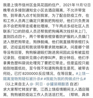 江西上饒寵物狗被“無害化處理”，國內多地曾推人性化解決方案