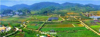 「春遊記」白雲蓬萊仙界 特色農業旅遊引客來