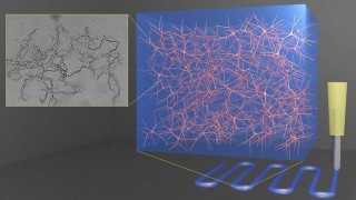 研究人員開發用於生物醫學材料和軟體機器人的3D打印凝膠