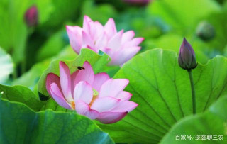 從8月開始，運勢如彩虹，事業一步一步上升，福溢星座