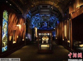 獨角獸、隱身獸……倫敦這家博物館打造神奇動物展