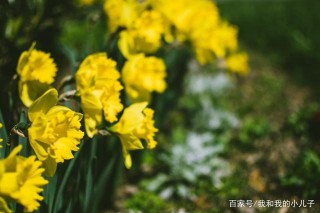 11月底，舊愛出聲，觸動內心，4大星座諒解過去，回到舊情裏