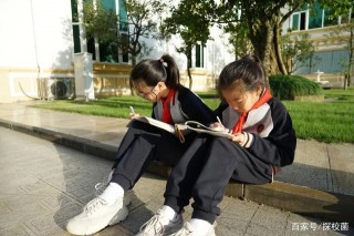 學生可以排隊爬樹？城投驛都“五生課堂”，讓教育回歸生命的原點