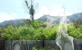 湖北農民祖墳冒青煙，考古趕來檢查後，命令立即封山_保護_文物_老孫