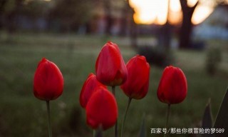 在9月的後十天裏，婚姻是注定的，愛情是遙遠的