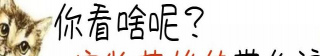 小貓咪有著狗狗的性格，只因三只汪星人照顧，鏟屎官希望溫暖彼此