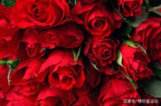 4月，桃樹開花，良緣降臨，4星座偶遇真愛，共守甜蜜，幸福一生