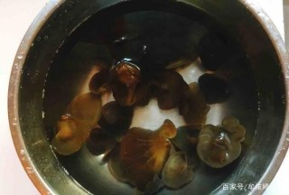 女人時不時吃，比玻尿酸，常喝有光澤的皮膚