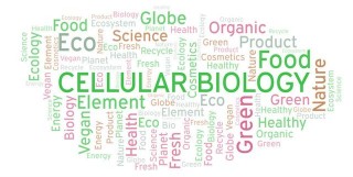 細胞生物學複習資料（西南民大期末複習資料）