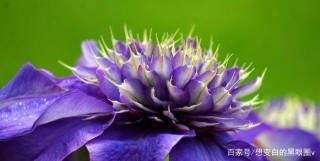 在9月的後十天，踏入愛情、相思和婚姻的海洋