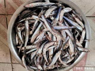30塊錢的魚食，夠七八個魚缸的觀賞魚吃半年，這可太劃算了