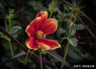 2月中旬死灰複燃，跟舊愛有著不解之緣的4星座，愛情終將如願以償