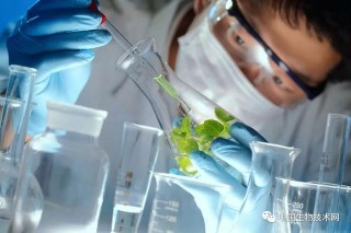做（生物學）學術研究，是技術重要，還是想法重要？