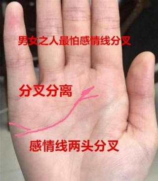 手相：手指這樣長不愁吃和穿，富貴終有日，兒孫定滿堂