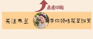 這6種盆栽花卉，天氣越熱，長得越美！