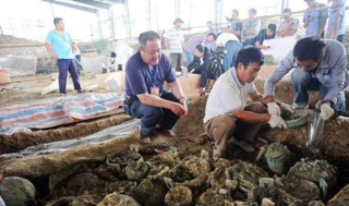 高山上竟有春秋大墓？專家說絕不可能，盜墓賊將其打臉！