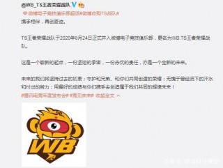 快手微博收購電競隊伍，京東蘇寧已是老電競，遊戲究竟有何魅力？