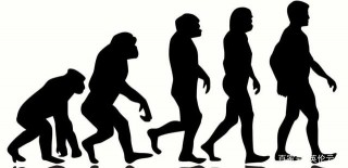 從達爾文的生物進化論開始，掌握國際初中生物最難學的遺傳與進化