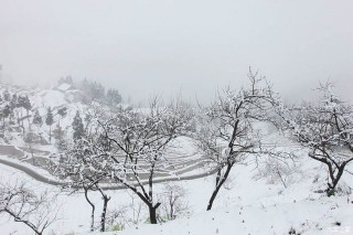1816年，為什麼這一年詭異的沒有夏天，7月飛雪氣候大變？
