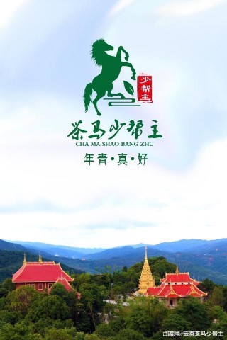 猛海縣民間茶文化研究會會長方蓮香帶隊首次到武漢參展茶博會