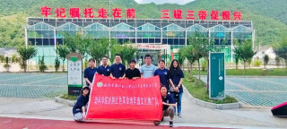 西農學子三下鄉：傳承推廣非遺文化 共制葉雕獻禮百年