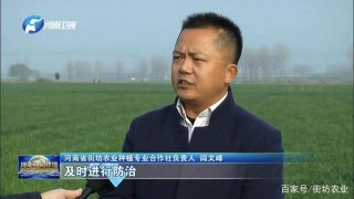 鄉村振興——鄉村旅遊項目不是鄉村發展的萬能藥方