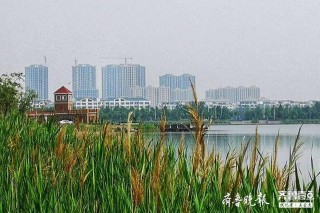 打造濱州「北門戶」，走出濱州特色海洋文化旅遊之路