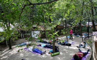 森林如何「治癒」人類？記者探訪國內首個森林療養基地