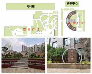 湘雅二醫院文化廣場注入新鮮文化氣息