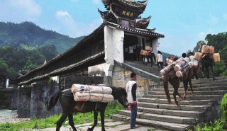 湖南益陽旅遊攻略，到益陽旅遊，這些景點值得一去