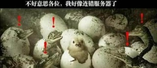 不好意思各位，我好像連錯服務器了，求小雞的心理陰影面積