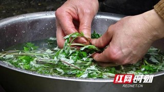 衡山美食：艾草飄香迎暖春