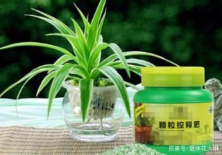 養花施肥：不懂！摸清這3知識點，保證盆栽用對肥得到最佳效果