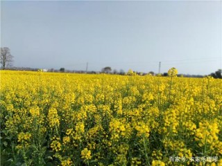 長沙周邊周末遊長沙周邊公司團建旅遊攻略
