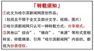 寵物下鄉背後：冰城寵物貓狗售價跳水式下跌