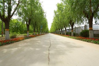 播種希望做都市農夫 百組家庭體驗農耕文化