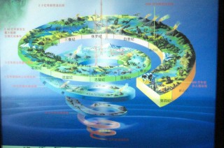 地球上曾經下過一場幾百萬年的雨，這是不是真的？
