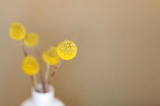 12月12日之後，喜鵲登門，舊情萌動，4星座收獲真愛結琴瑟之好