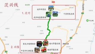 尋訪茨興線 渝北周邊採摘一日游，解鎖精彩的休閒渝北