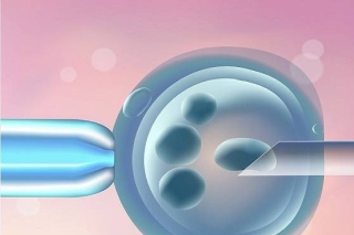 禾孕嘉丨試管嬰兒與試管嬰兒保險：攜手共創希望之路_技術_過程_賠償