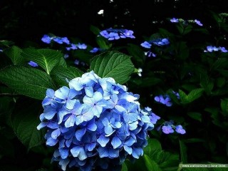 3天以後，邂逅甜蜜，舊愛求和，愛意滿滿，3星座深愛不棄