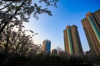 職場生存哲學——如何處理犯錯後的應激問題