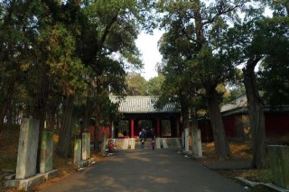 天津旅遊之二：津北山行，享宴文化歷史，一山一寺一林一城