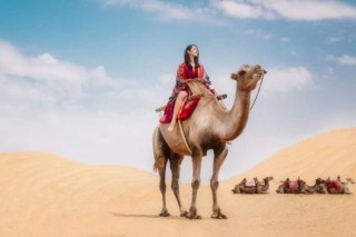 內蒙兩家香格里拉大酒店聯袂打造自由暢快之旅