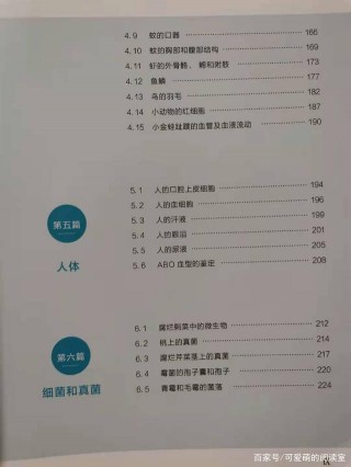 手把手教你實驗步驟，觀察神秘的微觀世界，愛上生物學就這麼簡單