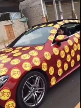 粘貼實習標志被罰款，看到汽車車尾後，網友：不罰你罰誰啊