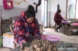 “男人的加油站，女人的美容院”來了！奉化這種鮮美美食正當時！