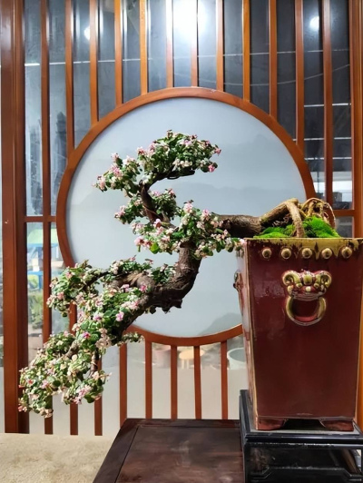 夏天養金枝玉葉有“4忌”，及時避開猛漲新葉，養成大氣小老樁