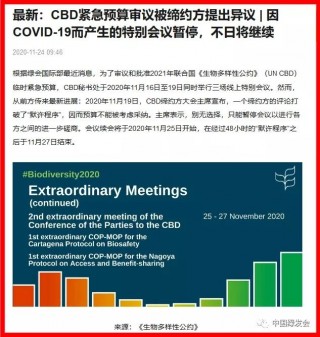 阻礙CBD COP15進程，巴西受國際社會譴責：線上談判對全球環境正義究竟利弊如