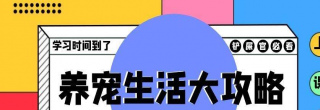 這麼優秀的貓咪品種，就在鏟屎官的面前，鏟屎官卻視而不見
